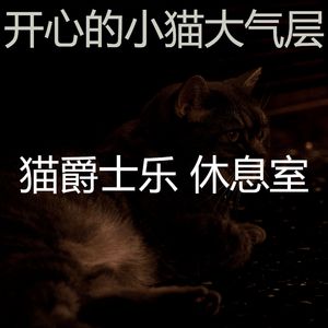 有趣小猫情怀