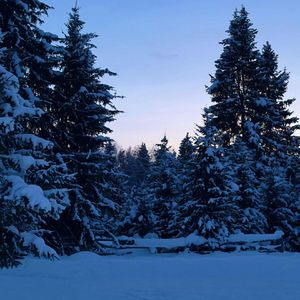 哈尔滨是我的家乡