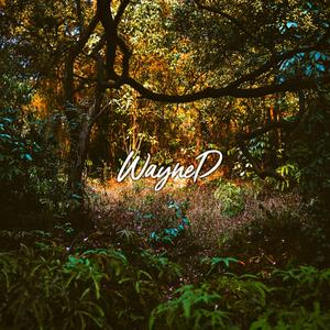 【售断】“阴沉 天 空 中 有 一 小 束 照 着 你 的 阳 光”