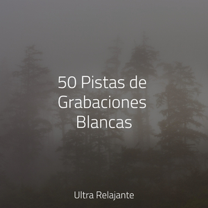 Deslizamientos De Hielo