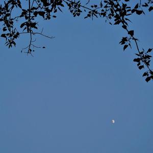 这首情歌有点甜