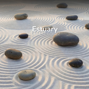 Estuary
