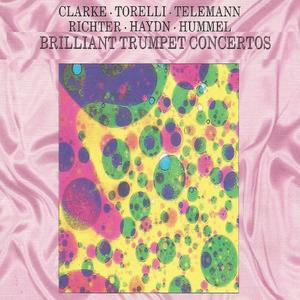Trumpet Concerto in D Major, G. 18: I. Allegro