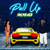 Increase - PULL UP