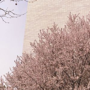 想念拟人化（片段）