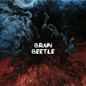 Brain Beetle