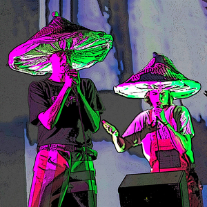 Grzybobranie (julek ploski Remix)