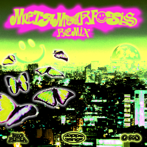 m e t a m o r f o s i s (remix)