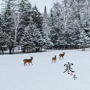 只有一颗星星陪着我