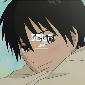 老男孩（专辑：感官世界）