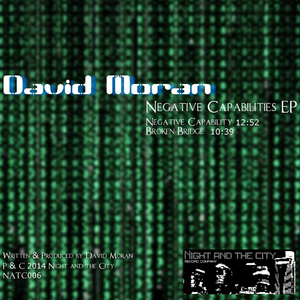 Negative Capability (Original Mix)