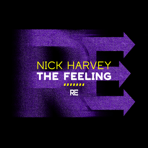 The Feeling (Extended Mix)