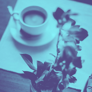 Outstanding Moods for Tea Shops