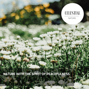 Mesmerising Medium Heavy Rain