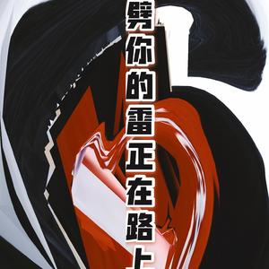劈你的雷正在路上（Live）（翻自 王心凌）