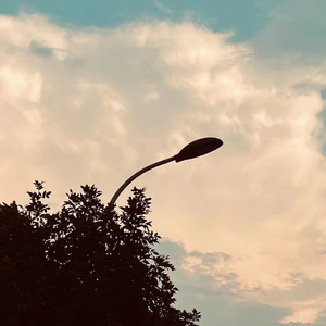 这座城市没有你