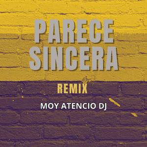 Parece Sincera (remix)