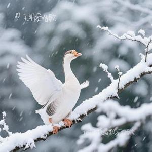 北方鹅毛雪飘不到南方(Cover 亚飞)