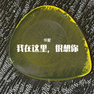 我在这里很想你