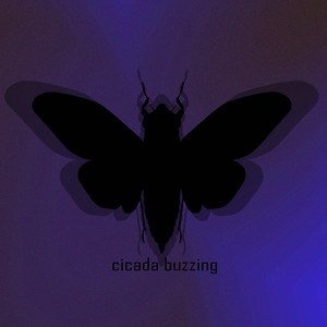 Cicada Buzzing