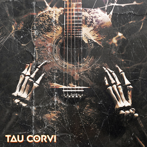 Пыльные гитары