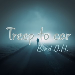 Treep to car