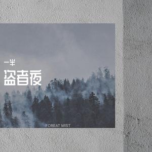 盗者夜（翻自 王玖）