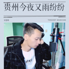 贵州今夜又雨纷纷