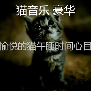 温和猫梦想