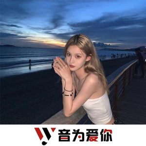 提灯前行 (DJ版)