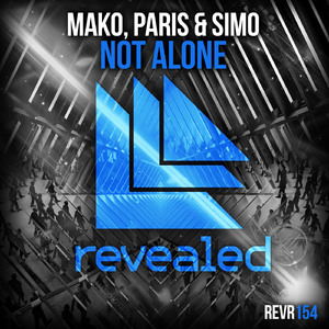 Not Alone (Original Mix)