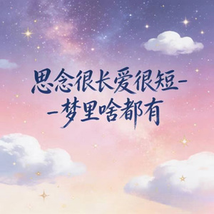 思念很长爱很短 (DJ涵涵版)