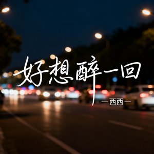 好想醉一回（飙升版）