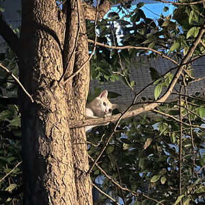 Hate you（Prod By Lv9）