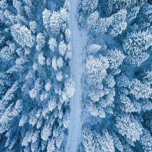 Winter Time (AI)