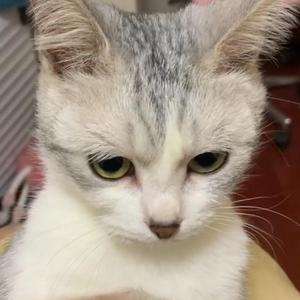 -Vibe-Melody Remix（路人赵 remix）