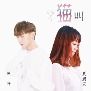 学猫叫（翻自 小峰峰）