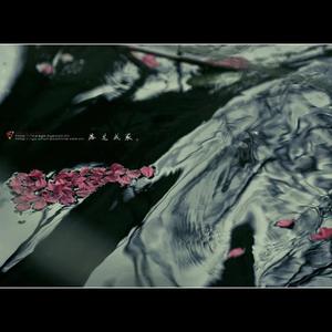 二十二桥枫别雨（古筝&琵琶）