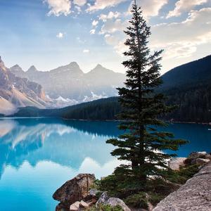 这一生关于你的风景