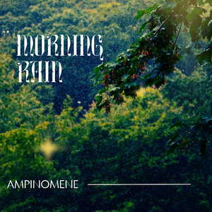 Harbor Benches in Rain