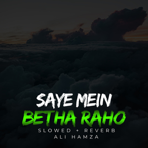 Saye Mein Betha Raho Lofi