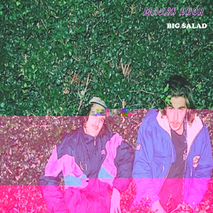 Big Salad