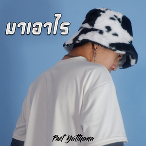 มาเอาไร (Acoustic)