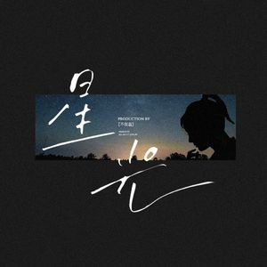 星光-（致秦岚）