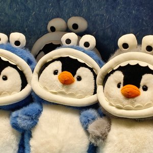 城市盖不住我心跳