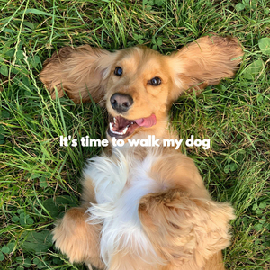 Majestic Doggy Tails