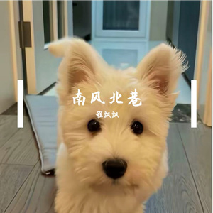 南风北巷 （Live）