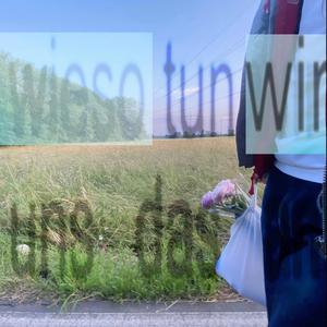 wieso? (feat. joiiforever)