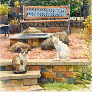 Katzen