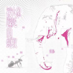 被大象踩死的蚂蚁